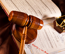 网页免费发手机号